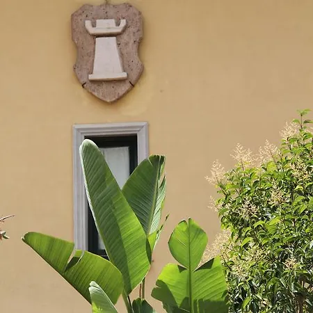 Acqua Di Costanza Torchiara